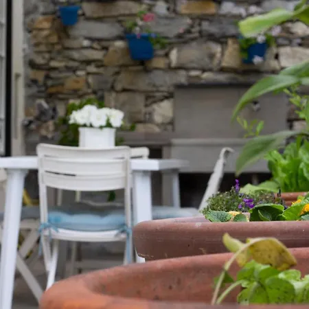 Apartment Casa Gatto Miao Rapallo